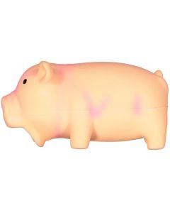 Hondenspeeltje